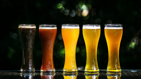 【2023】ビールのサブスク（定期便） おすすめ比較11選！特徴やメリットも解説